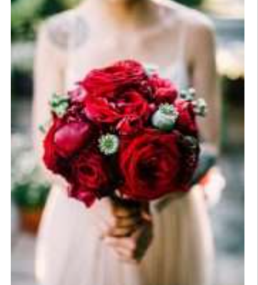 bride carrying a red peony bouwuet